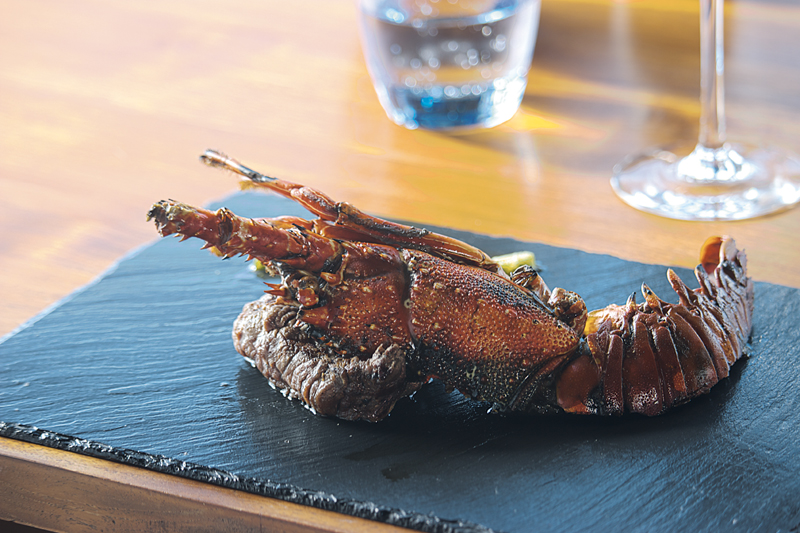 Surf'N Turf